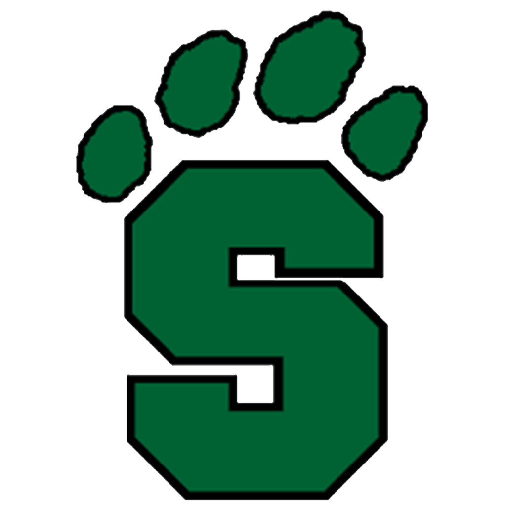 Salem International University